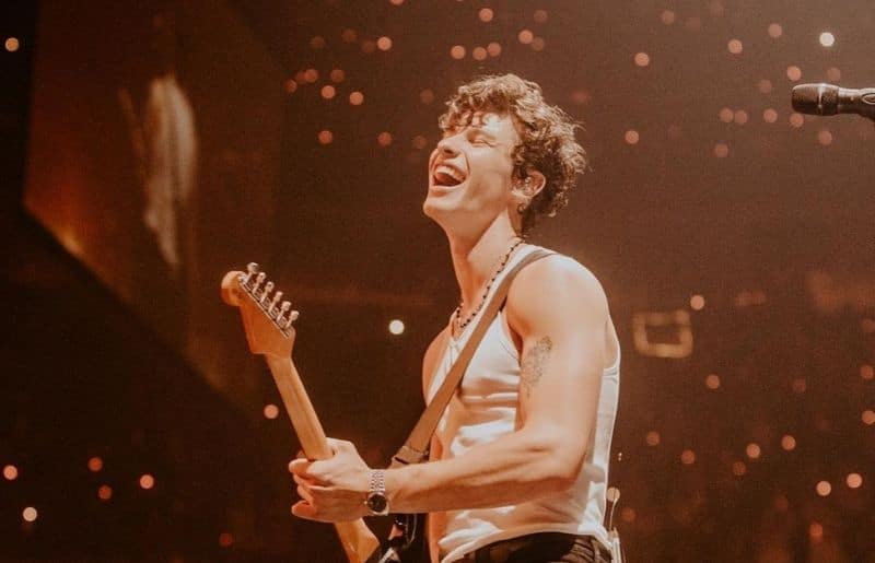 Shawn Mendes Image
